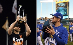 Who do you think will win the World Series?